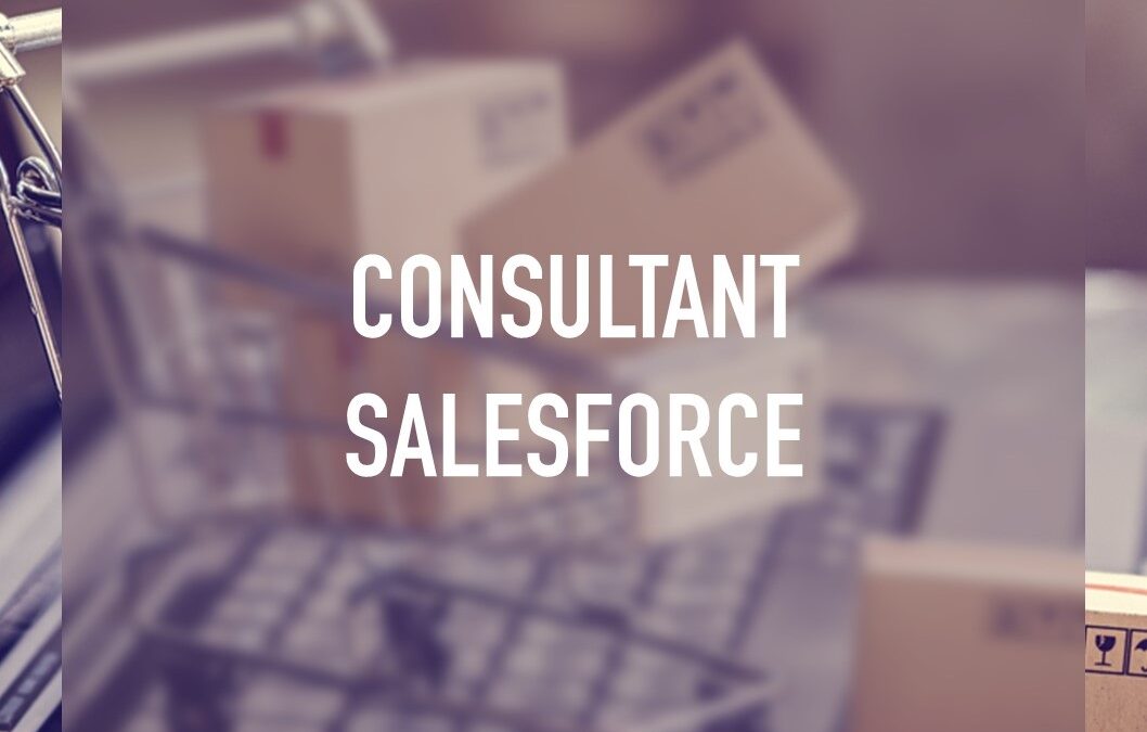 Consultant technique Salesforce confirmé